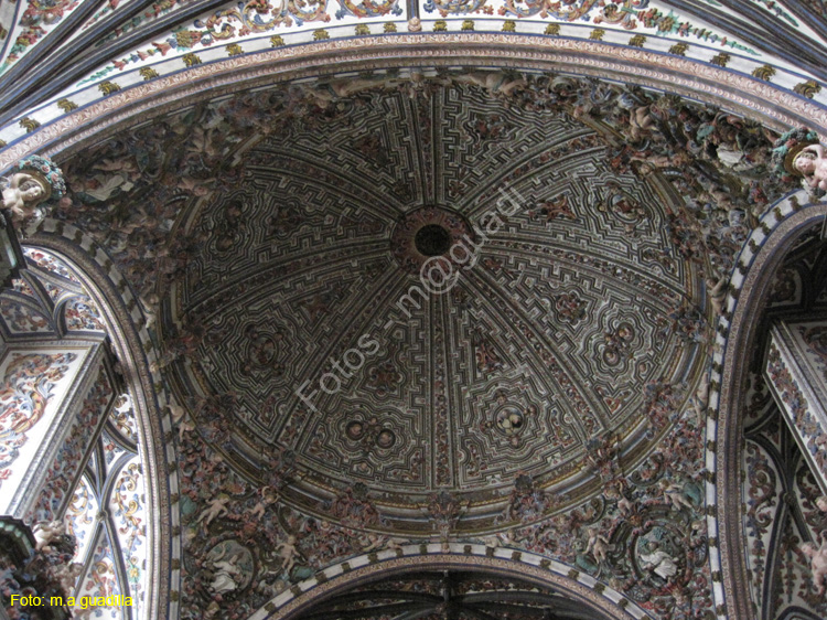 Burgos (320) Catedral