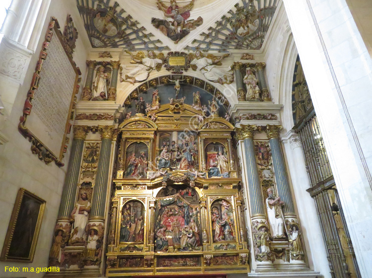 Burgos (332) Catedral