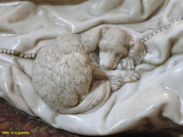 Burgos (339) Catedral