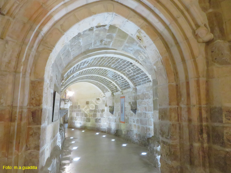 Burgos (347) Catedral