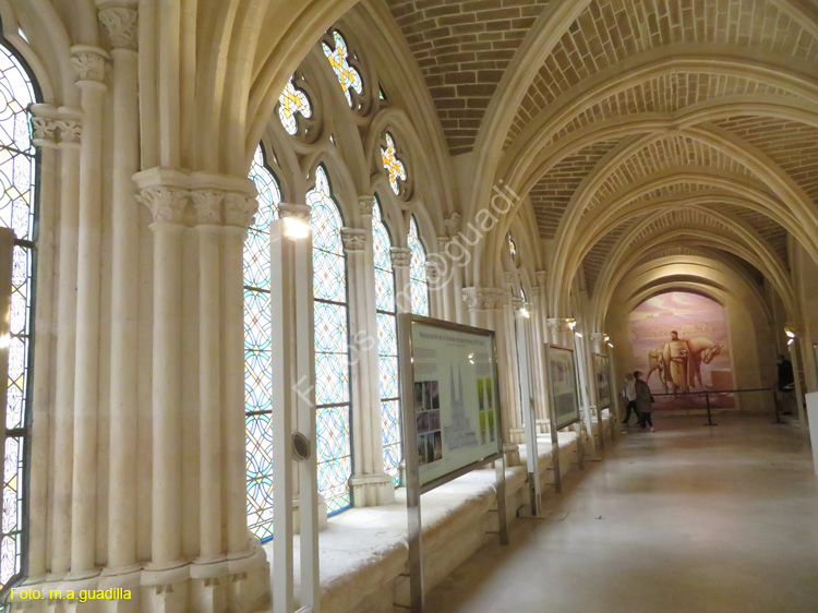 Burgos (349) Catedral