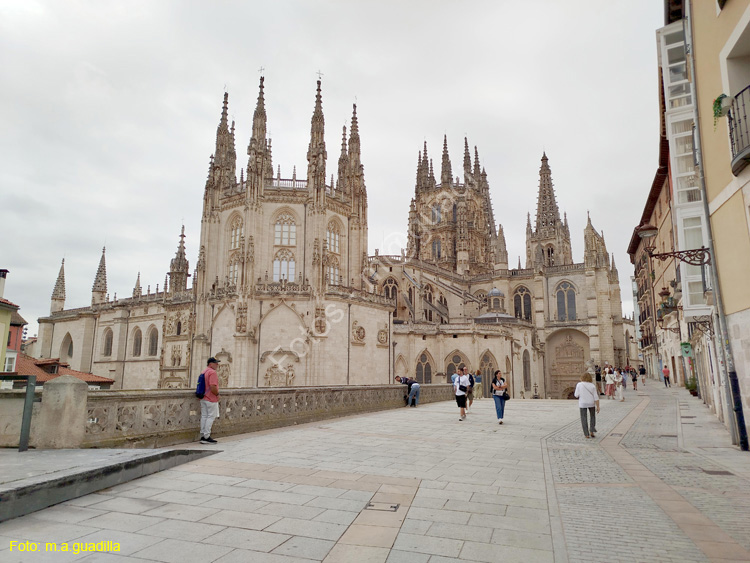 Burgos (353) Catedral