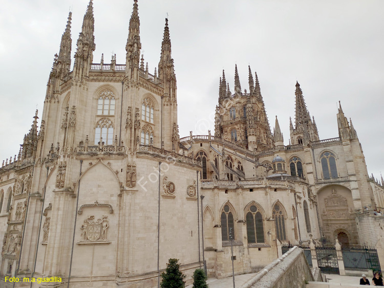 Burgos (354) Catedral