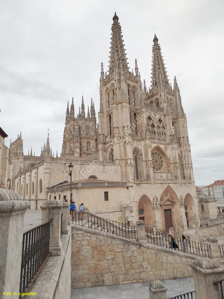 Burgos (355) Catedral