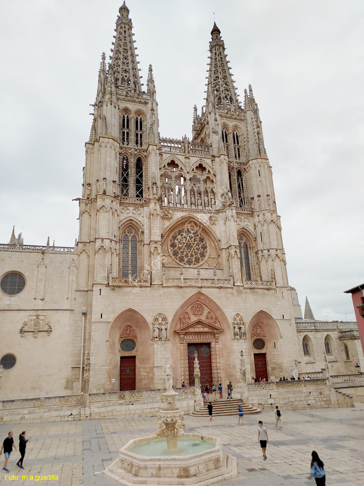 Burgos (356) Catedral