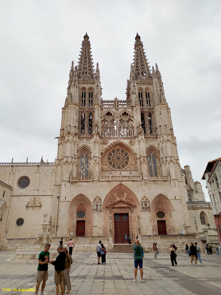 Burgos (358) Catedral