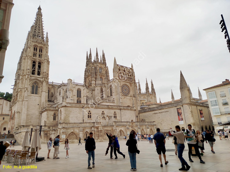 Burgos (359) Catedral