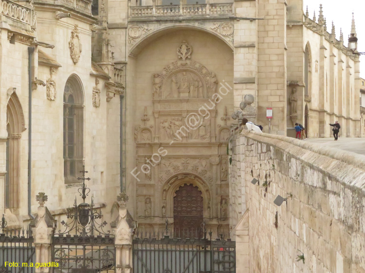 Burgos (364) Catedral