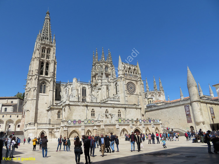 Burgos (365) Catedral