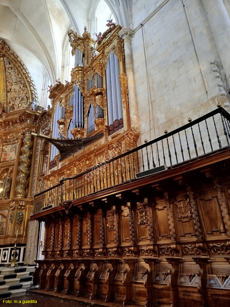 BURGOS (111) Monasterio de las Huelgas
