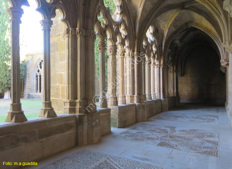 CARCASTILLO (116) Monasterio de la Oliva
