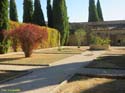 CARCASTILLO (105) Monasterio de la Oliva