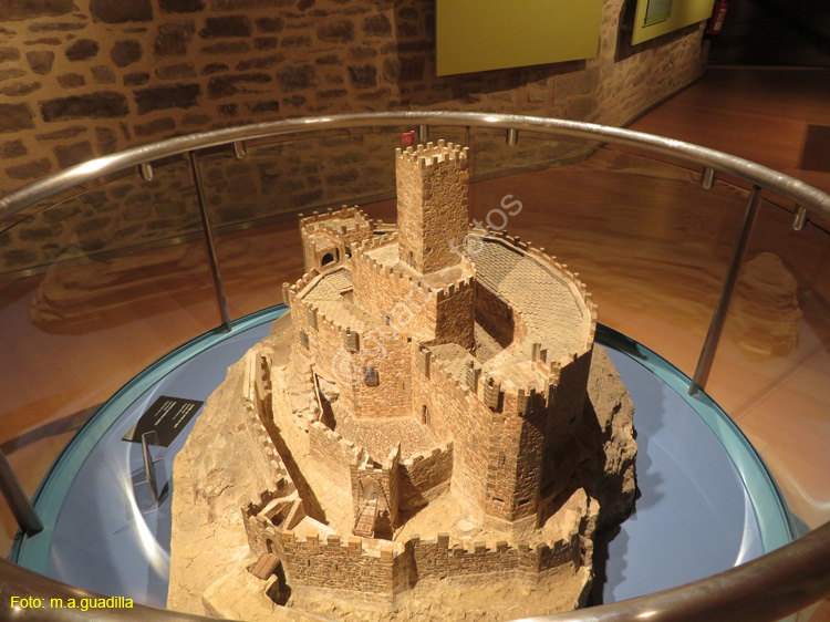 CASTILLO DE JAVIER (123)