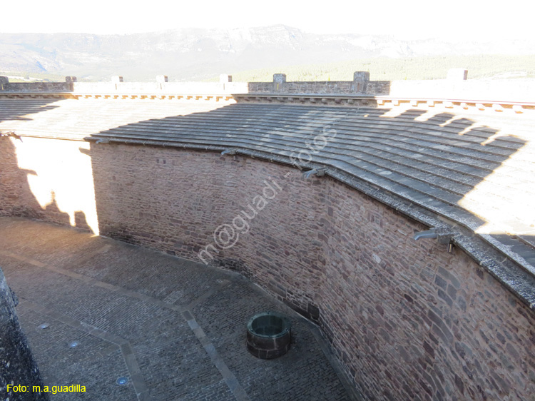 CASTILLO DE JAVIER (131)