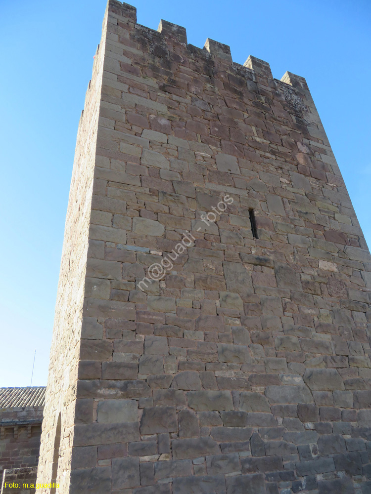 CASTILLO DE JAVIER (137)