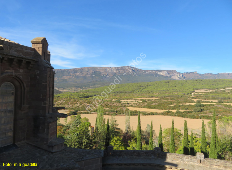 CASTILLO DE JAVIER (139)