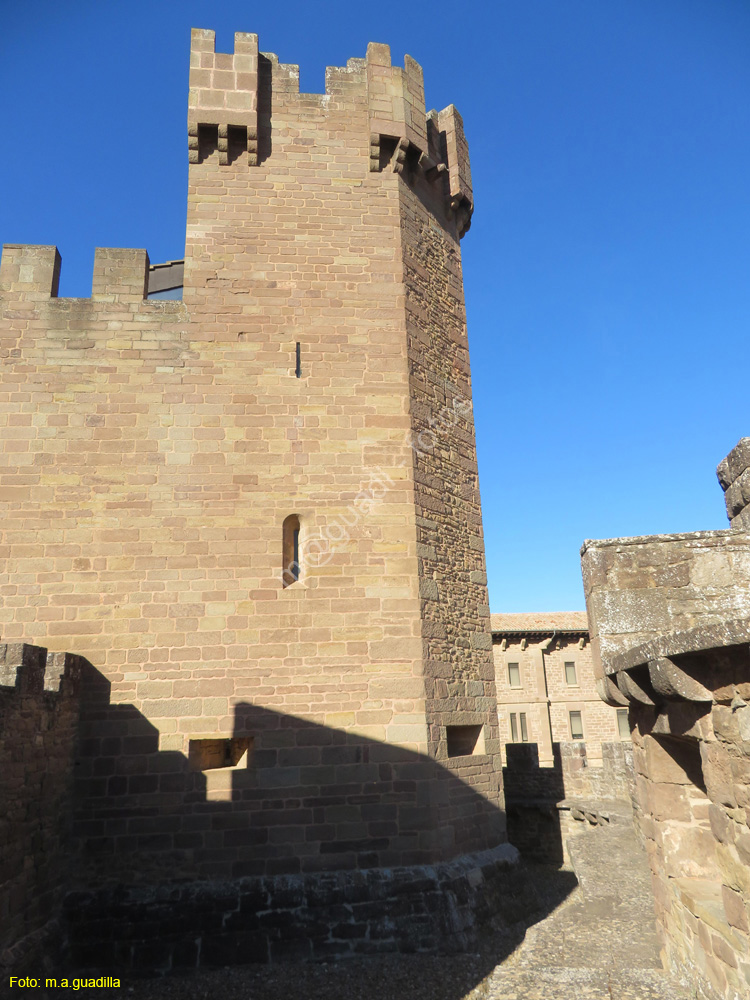 CASTILLO DE JAVIER (149)