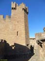 CASTILLO DE JAVIER (149)