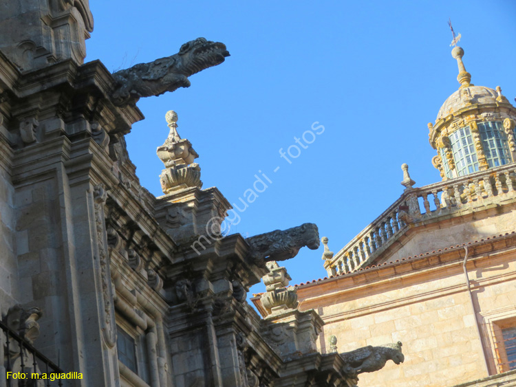 CELANOVA (107) Monasterio de San Salvador