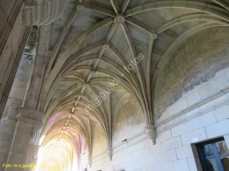 CELANOVA (110) Monasterio de San Salvador