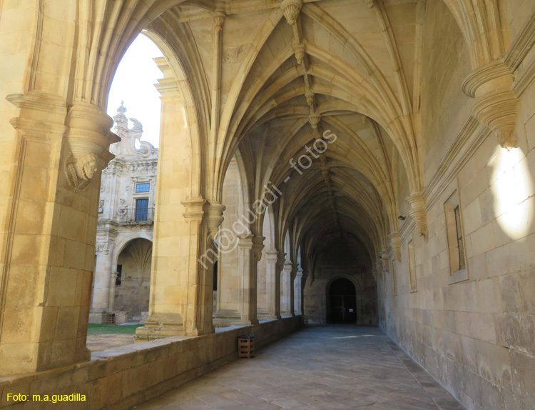 CELANOVA (115) Monasterio de San Salvador