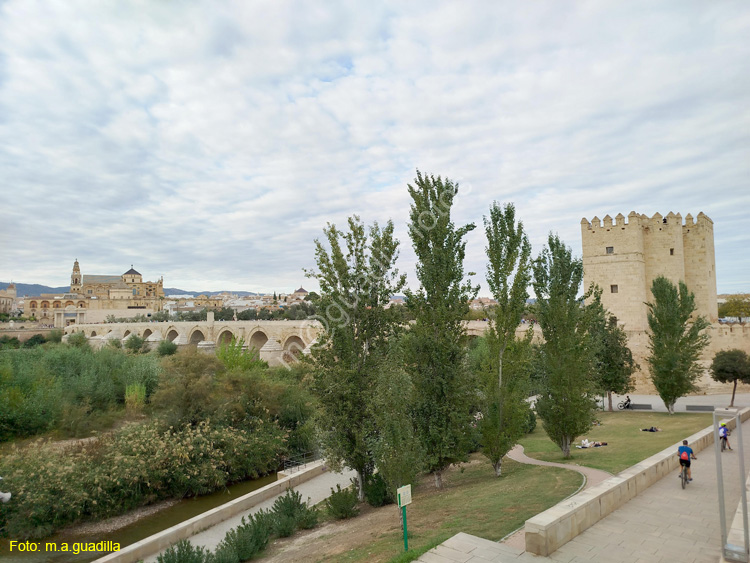 CORDOBA (103) Puente Romano