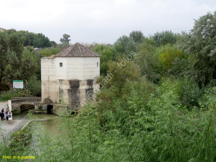 CORDOBA (112) Molino de San Antonio