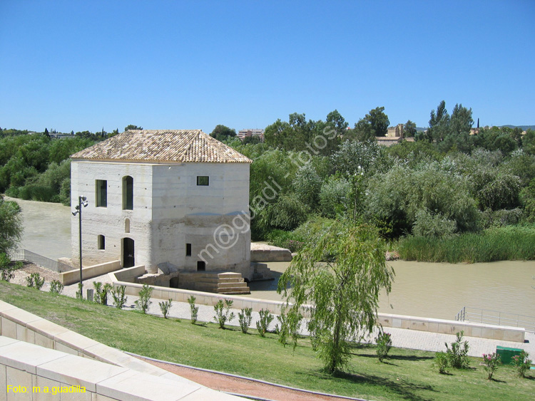 CORDOBA (114) Molino de San Antonio 2008