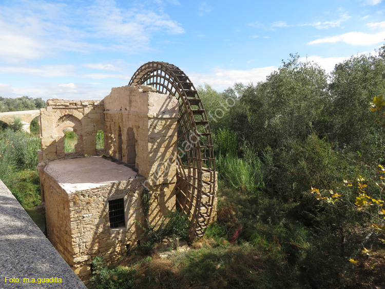 CORDOBA (116) Molino de la Albolafia