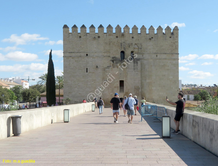 CORDOBA (118) Torre de la Calahorra