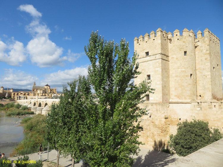 CORDOBA (120) Torre de la Calahorra