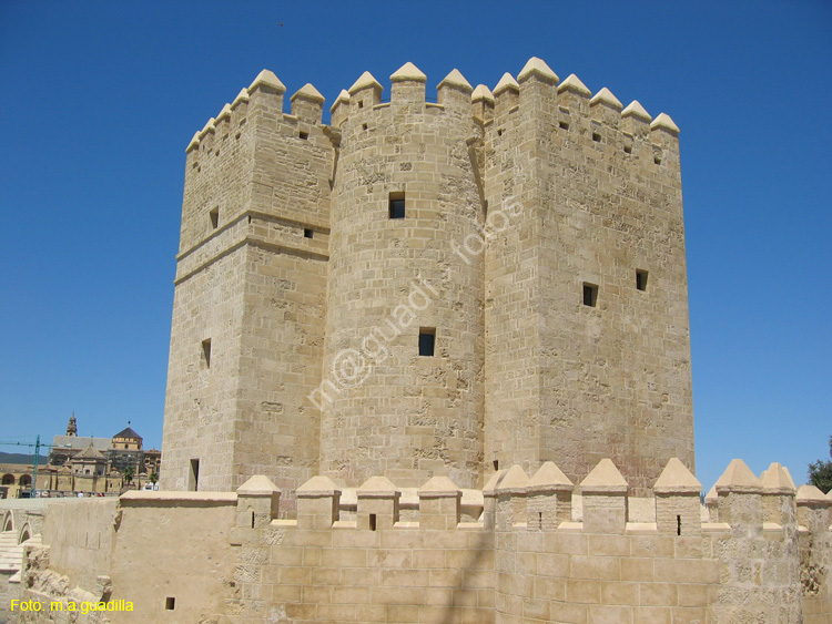 CORDOBA (123) Torre de la Calahorra 2008