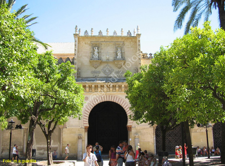CORDOBA (168) Mezquita Catedral 2008