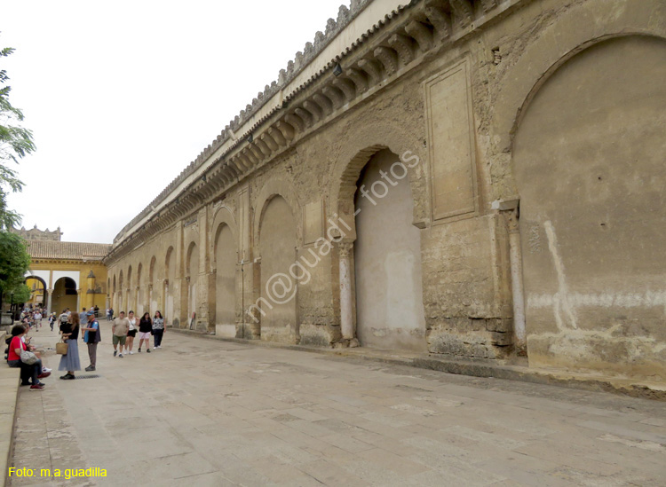 CORDOBA (172) Mezquita Catedral