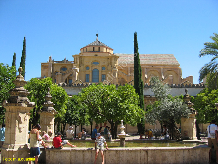 CORDOBA (173) Mezquita Catedral