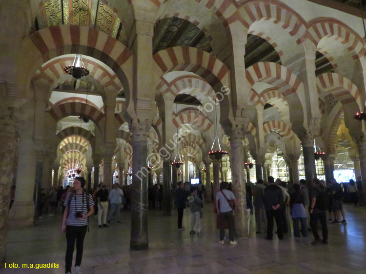 CORDOBA (190) Mezquita Catedral