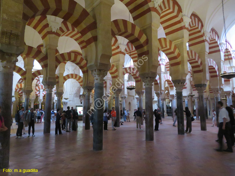 CORDOBA (202) Mezquita Catedral