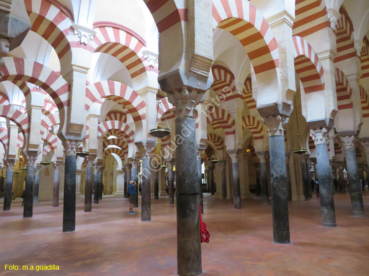 CORDOBA (203) Mezquita Catedral