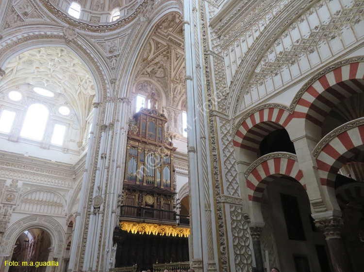 CORDOBA (216) Mezquita Catedral