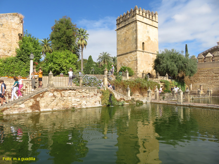 CORDOBA (288) Alcazar de los Reyes Cristianos