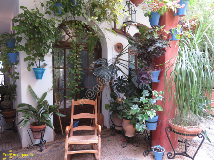 CORDOBA (381) Patio Calle San Basilio