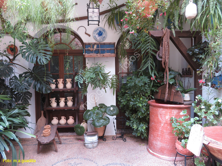 CORDOBA (382) Patio Calle San Basilio