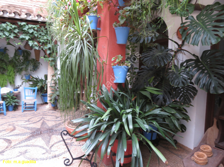 CORDOBA (384) Patio Calle San Basilio