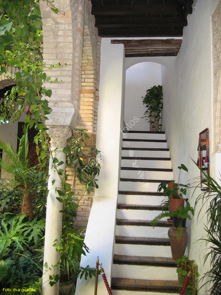 CORDOBA (413) Casa Andalusi 2008