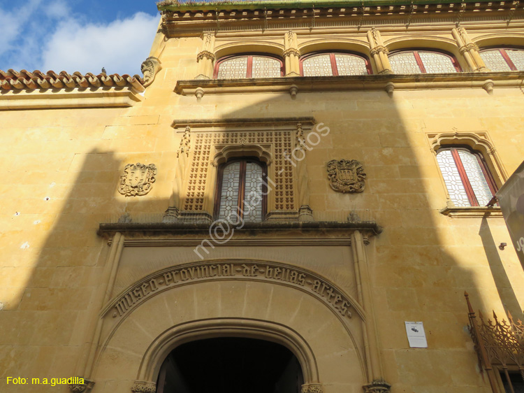 CORDOBA (502) Plaza del Potro