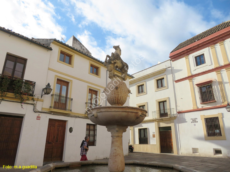 CORDOBA (503) Plaza del Potro