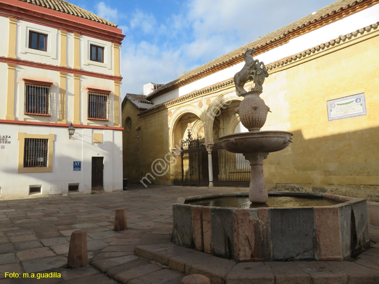 CORDOBA (504) Plaza del Potro