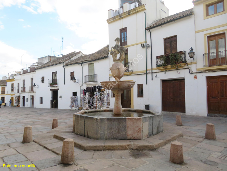 CORDOBA (507) Plaza del Potro