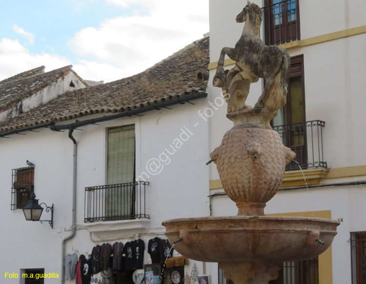 CORDOBA (508) Plaza del Potro