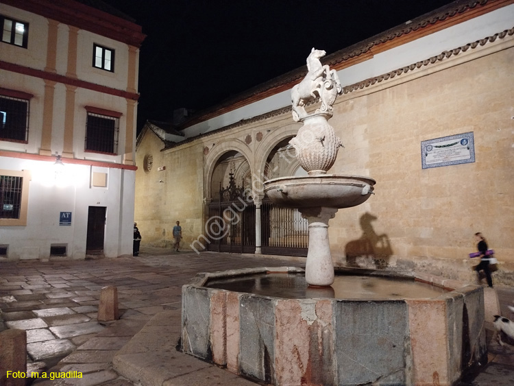 CORDOBA (508)b Plaza del Potro